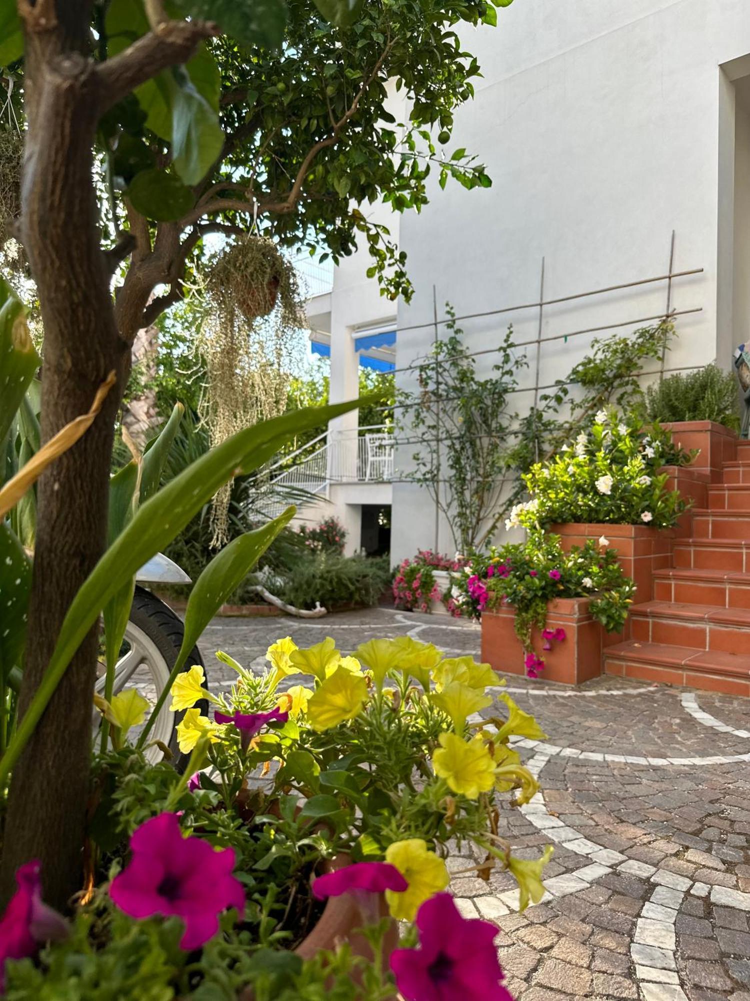 Cettina Boutique Affittacamere Sorrento